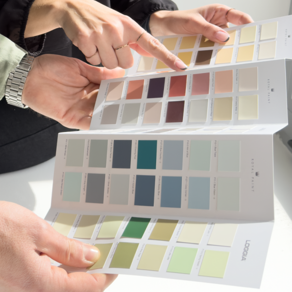 Color Palette